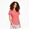 Sun Kissed Coral