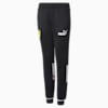 Scuderia Ferrari Race SDS Youth Track Pants, Puma Black, small-PHL