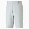 Dealer 10" Golf Shorts Men, Ash Gray, small-PHL