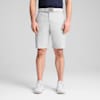 Dealer 10" Golf Shorts Men, Ash Gray, small-SEA