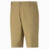 Dealer 10" Golf Shorts Men, Coconut Crush, small-IDN