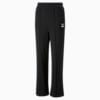 Classics Straight Sweatpants Women, Puma Black, small-PHL