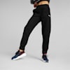 Puma Black