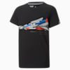Puma Black