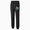 Fandom Sweatpants Men, Puma Black, small-PHL