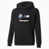 Sudadera con gorra juvenil BMW M Motorsport Essentials, Puma Black, small