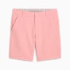 Dealer 8" Men's Golf Shorts, Pink Fruit, small-AUS