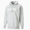 PUMA TEAM Graphic Hoodie Men, Light Gray Heather, small-SEA