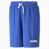 PUMA Team 8" Mesh Shorts Men, Royal Sapphire, small-SEA