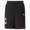 BMW M Motorsport Shorts Youth, PUMA Black, small-SEA
