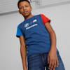 Color Pro Blue-M