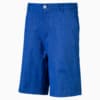 Heather Pounce Woven Boys' Golf Shorts, Surf The Web, small-SEA