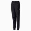 Modern Sports Youth Pants, Puma Black, small-SEA