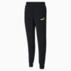 Essentials Men’s Sweatpants, Puma Black, small-SEA