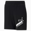 Amplified Big Logo Youth Shorts, Puma Black, small-SEA