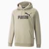 Essentials Big Logo Hoodie Men, Spray Green, small-AUS