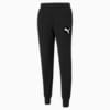 Essentials Logo Sweatpants Men, Puma Black-Cat, small-SEA