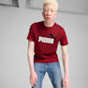 Essentials+ 2 Colour Men's Logo Tee, Intense Red, small-NZL