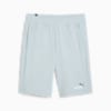 Essentials+ Two-Tone Shorts Men, Frosted Dew, small-SEA