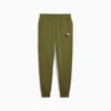 Essentials+ 2 Col Logo Men's Pants, Olive Green, small-AUS