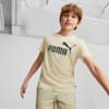 Essentials Logo Tee Youth, Granola, small