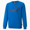 Essentials Big Logo Crew Neck Sweatshirt Youth, Future Blue, small