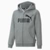 Essentials Big Logo Full-Zip Hoodie Youth, Medium Gray Heather, small