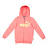 Carnation Pink