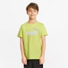 Essentials+ Two-Tone Logo Tee Youth, Lemon Sherbert, small-SEA