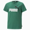 Essentials+ Two-Tone Logo Tee Youth, Vine, small-SEA