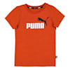 Essentials+ Two-Tone Logo Tee Youth, Warm Chestnut, small-PHL