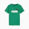 Archive Green