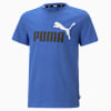 Essentials+ Two-Tone Logo Tee Youth, Royal Sapphire, small-SEA