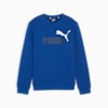 Essentials+ Two-Tone Big Logo Crew Neck Sweater Youth, Cobalt Glaze, small-AUS