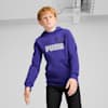Essentials+ Two-Tone Big Logo Hoodie Youth, Lapis Lazuli, small