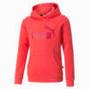 Essentials Logo Hoodie Youth, Paradise Pink, small