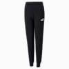 Essentials Sweatpants Youth, Puma Black, small