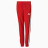 Iconic T7 Youth Track Pants, High Risk Red, small-SEA