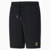 The Unity Collection TFS Men's Shorts, Puma Black, small-SEA