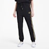 The Unity Collection TFS Women's Track Pants, Puma Black-gold, small-SEA