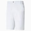 Jackpot Men's Golf Shorts, Bright White, small-SEA