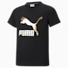 Classics Graphics Youth Tee, Puma Black-gold, small-SEA