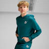 BETTER CLASSICS Hoodie - Youth 8-16 years, Cold Green, small-AUS