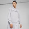 Mercedes-AMG Petronas Motorsport Men's ESS Men's Hoodie, Team Silver, small-AUS