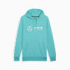 Mercedes-AMG Petronas Motorsport Men's ESS Men's Hoodie, Sheen Green, small-AUS