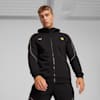Scuderia Ferrari Men's Motorsport Race Hooded Sweat Jacket, PUMA Black, small-AUS