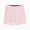 PUMA x ARNOLD PALMER Men's Pleated Golf Shorts, Pale Pink, small-IDN