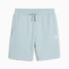 BETTER CLASSICS Shorts, Turquoise Surf, small-IDN