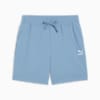 CLASSICS Men's Shorts, Zen Blue, small-PHL