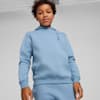 Hoodie Remaja PUMA x PLAYSTATION, Zen Blue, small-IDN